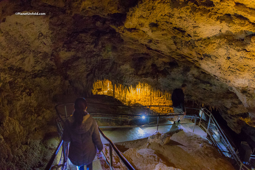 Cave Tour Mole Creek Tasmania