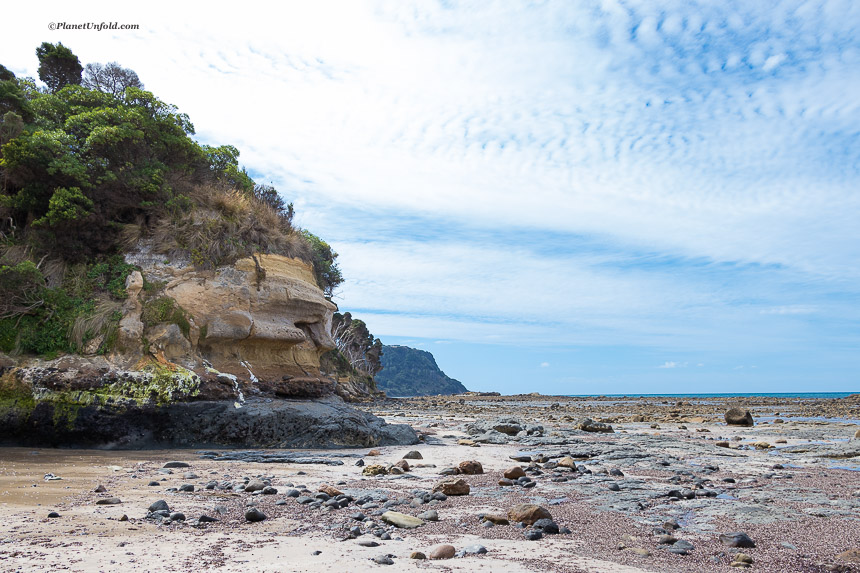 Fossil Bluff Wynyard Tasmania