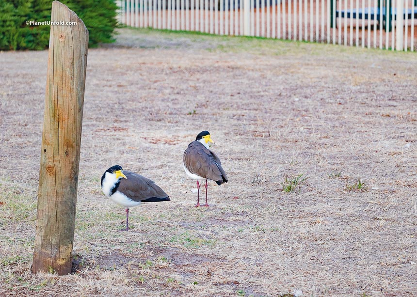 Strahan Tasmania