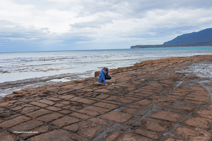Tessellated Pavement