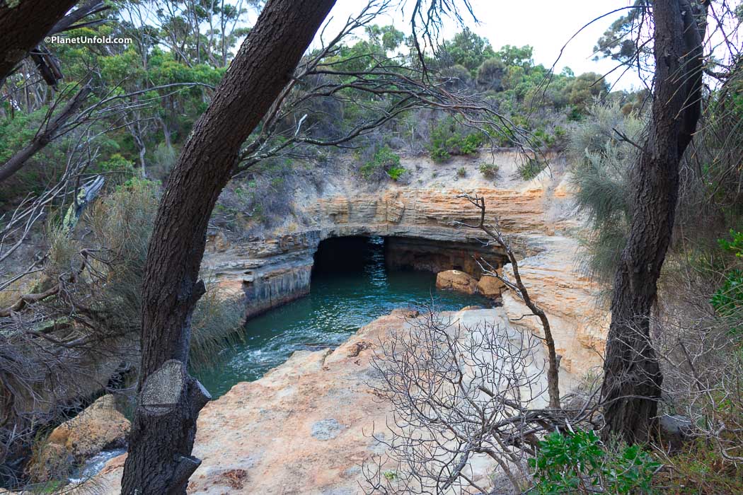 Blowhole