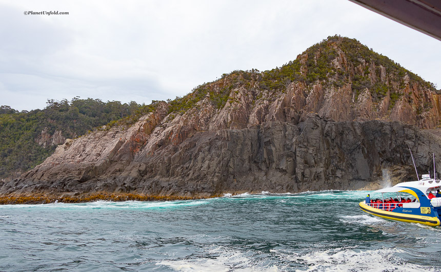 Bruny Island Cruise