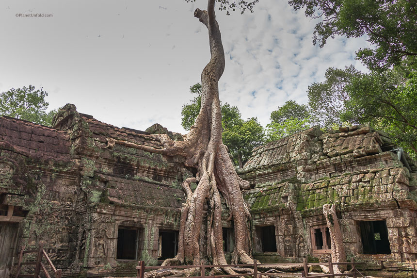 Ta Prohm
