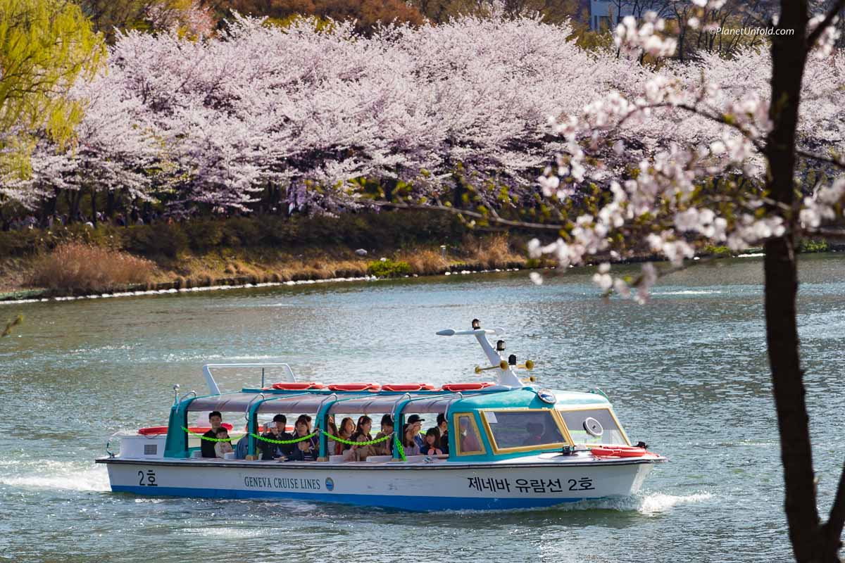 Spring in South Korea