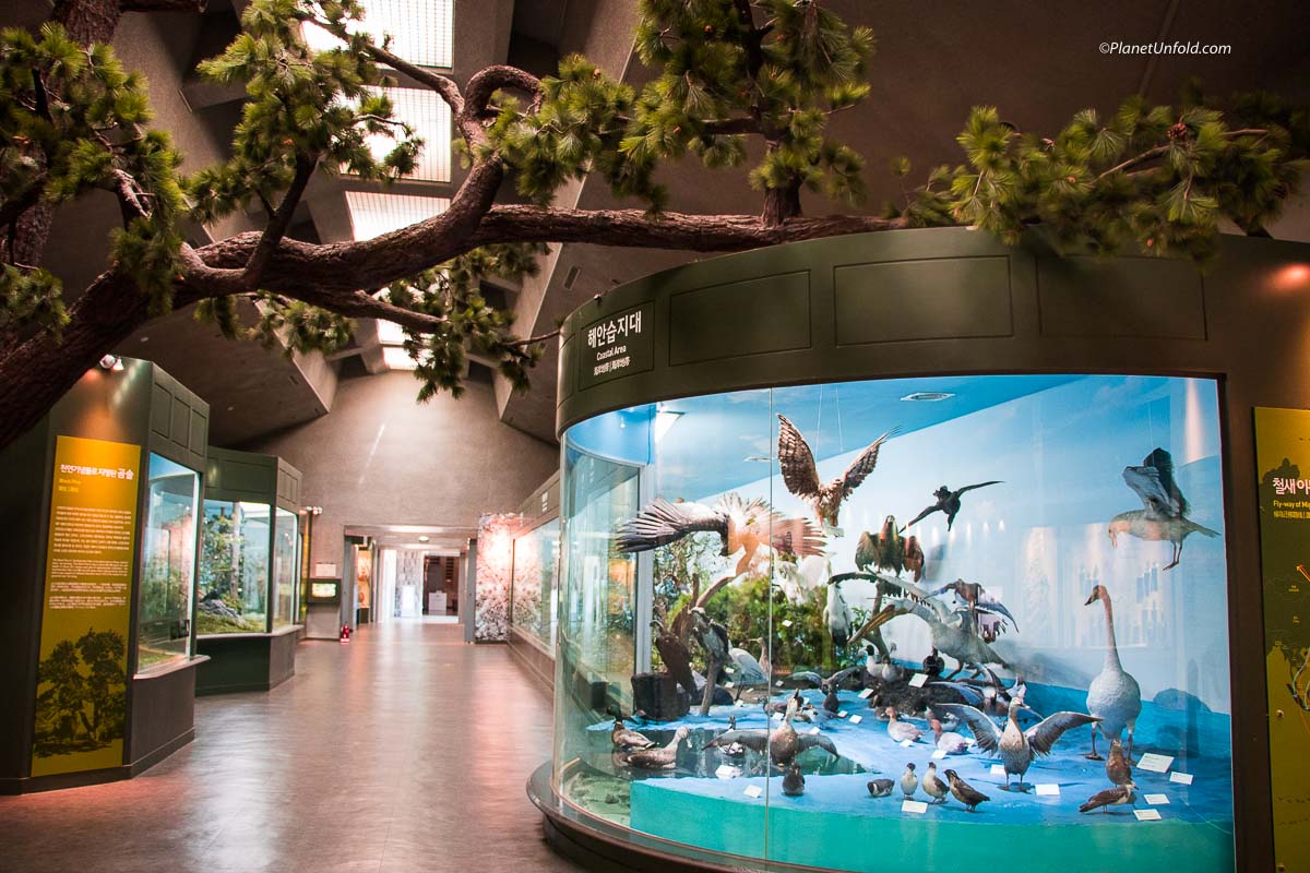 Jeju Folklore & Natural History Museum