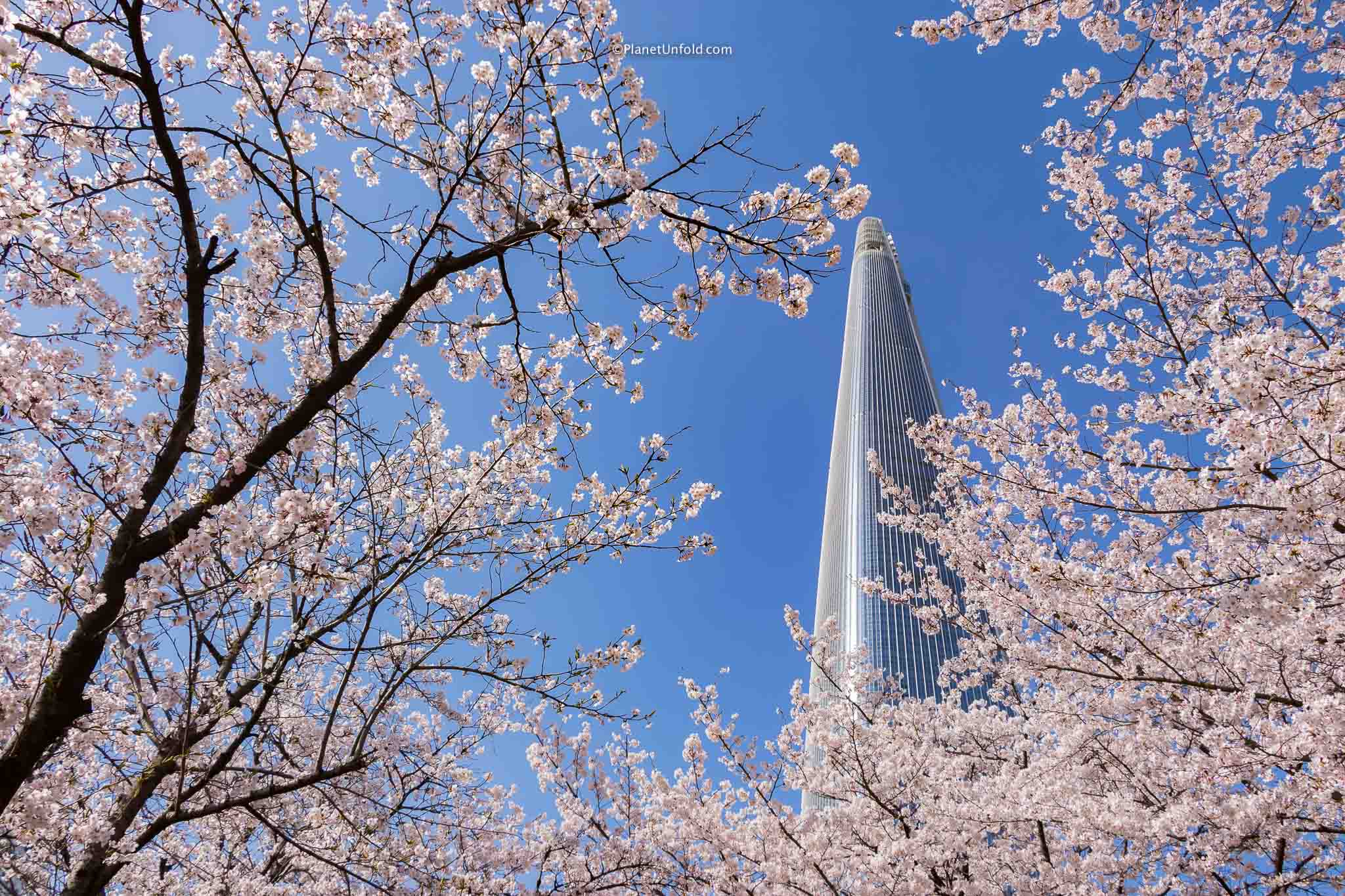 Must do's in Seoul