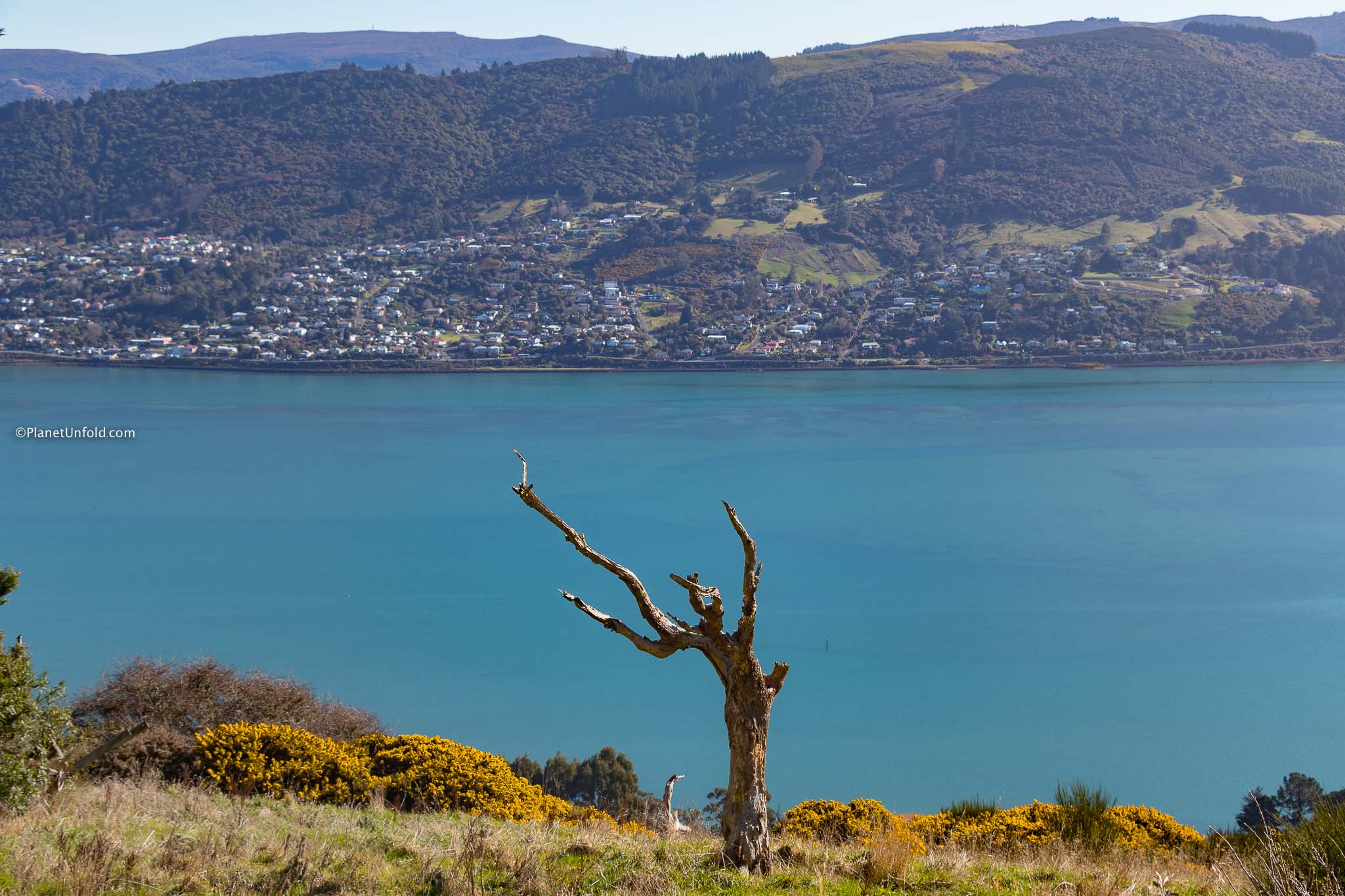 Otago Peninsula
