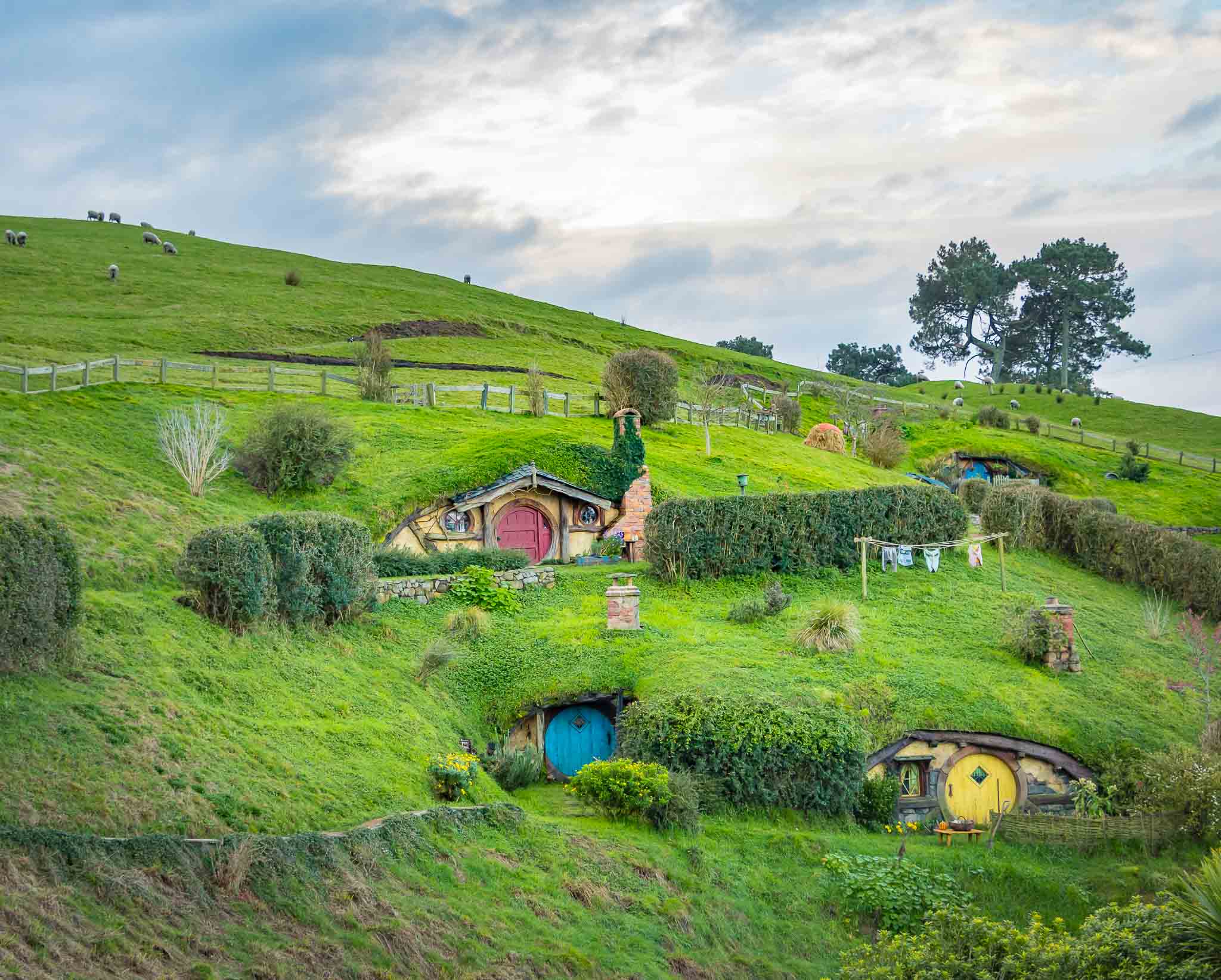North Island