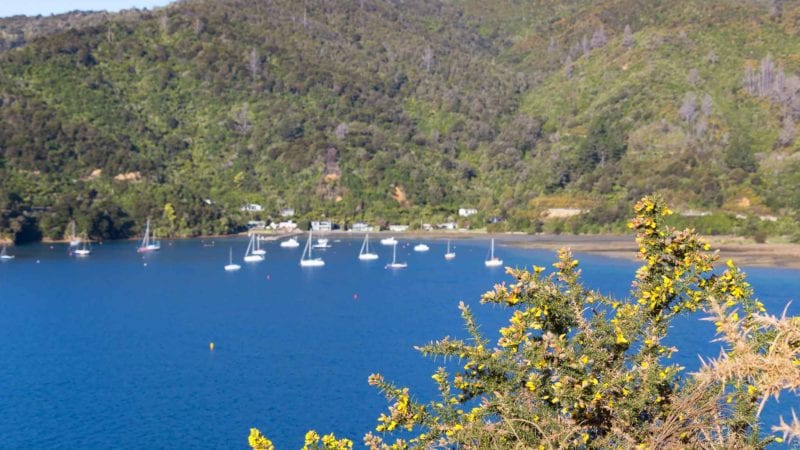 Marlborough Sounds