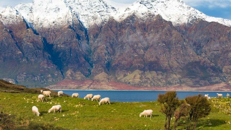 New Zealand