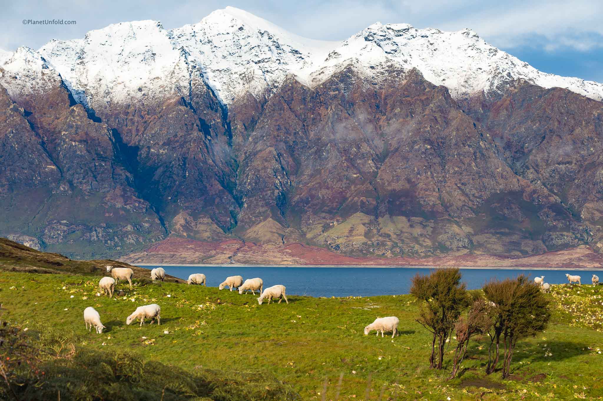 New Zealand