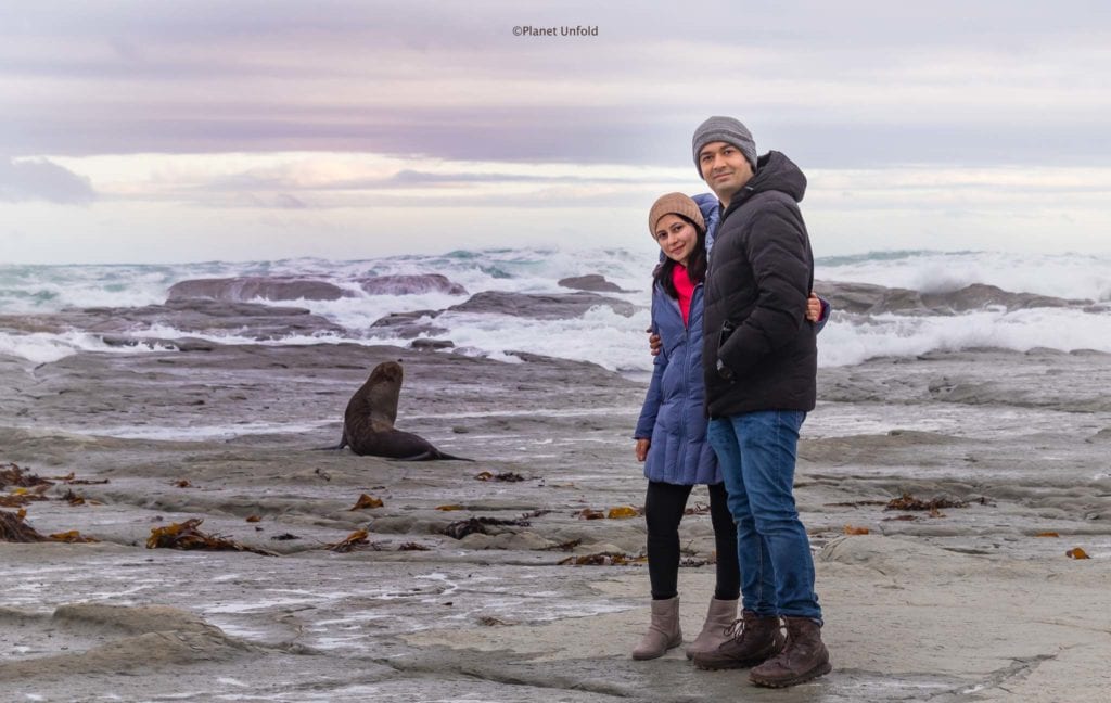 Kaikoura coast