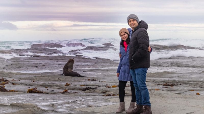 Kaikoura coast