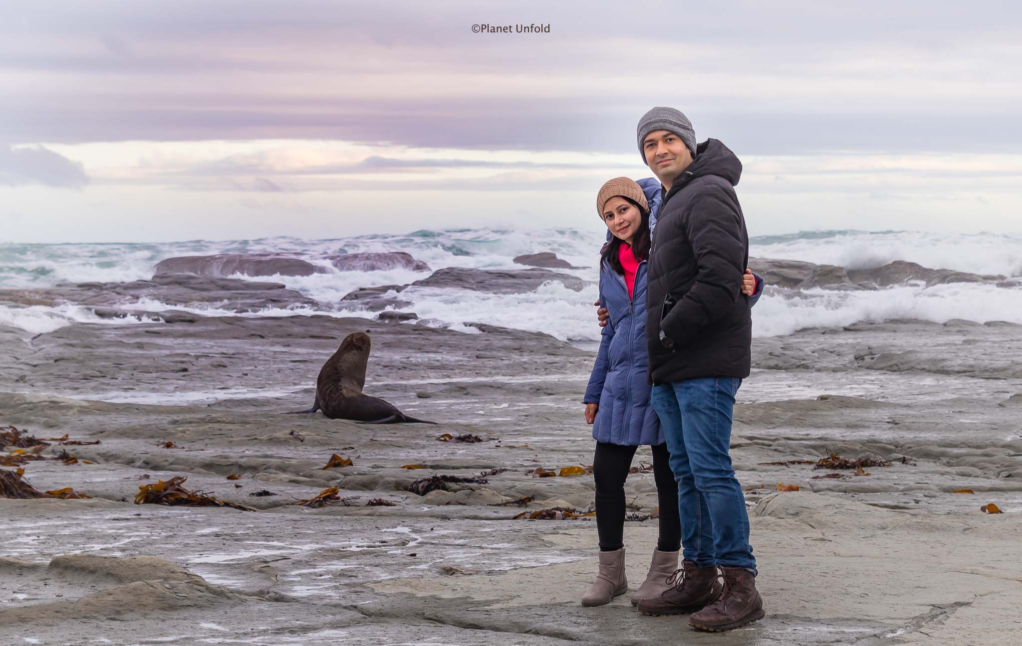 Kaikoura coast