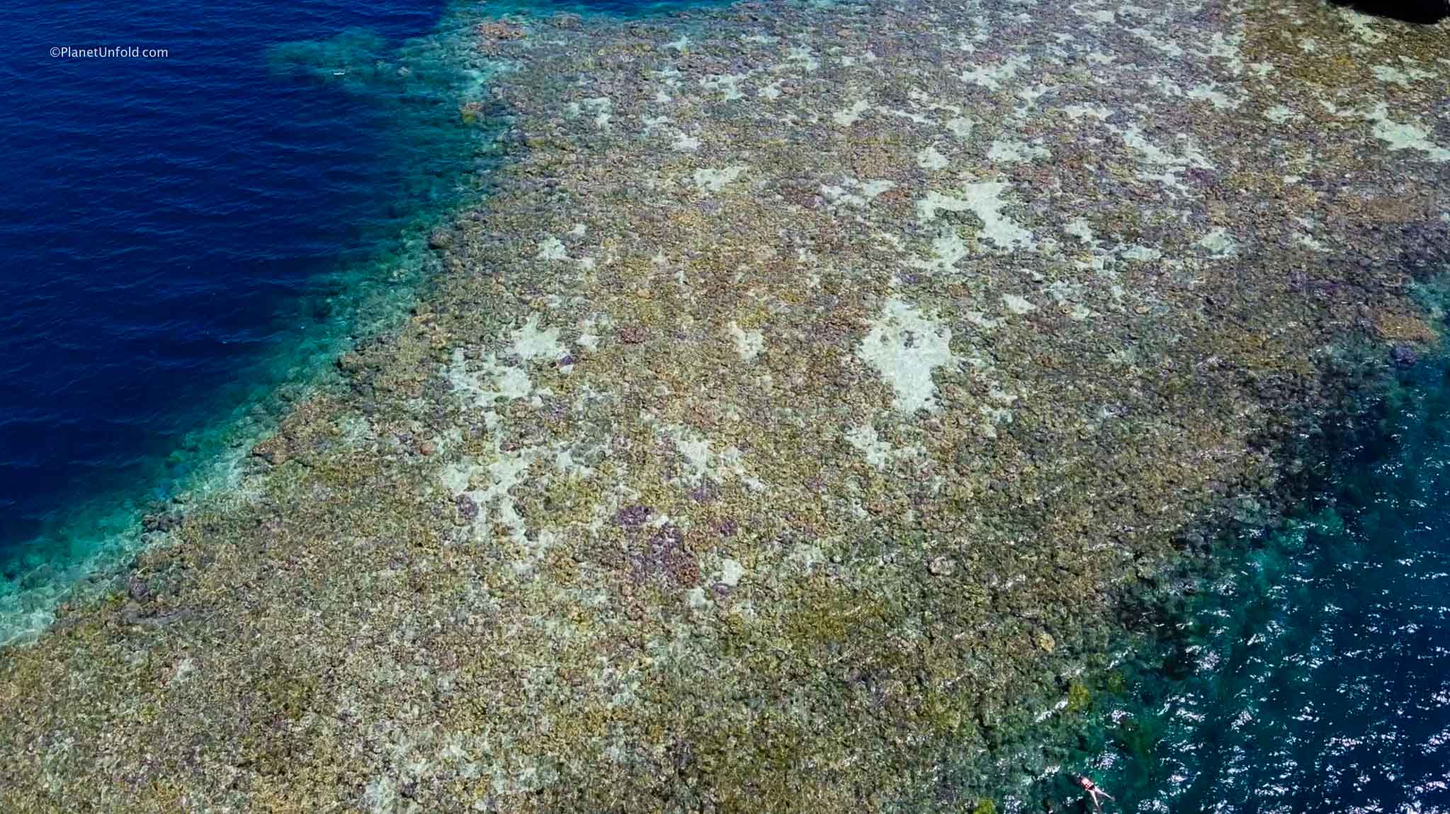 Coron Island