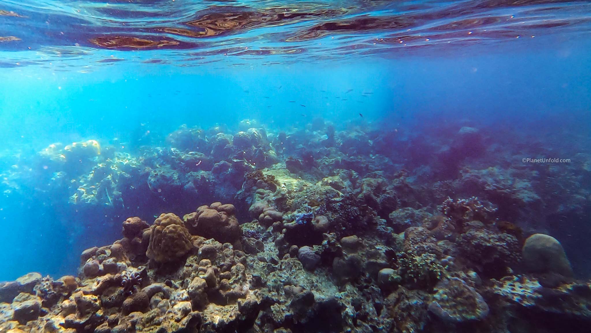 Malaway Coral Garden