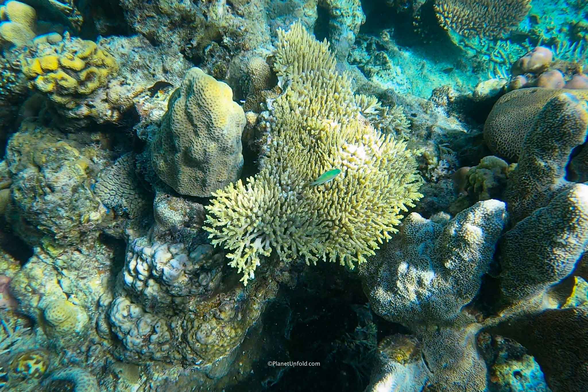 Coron island