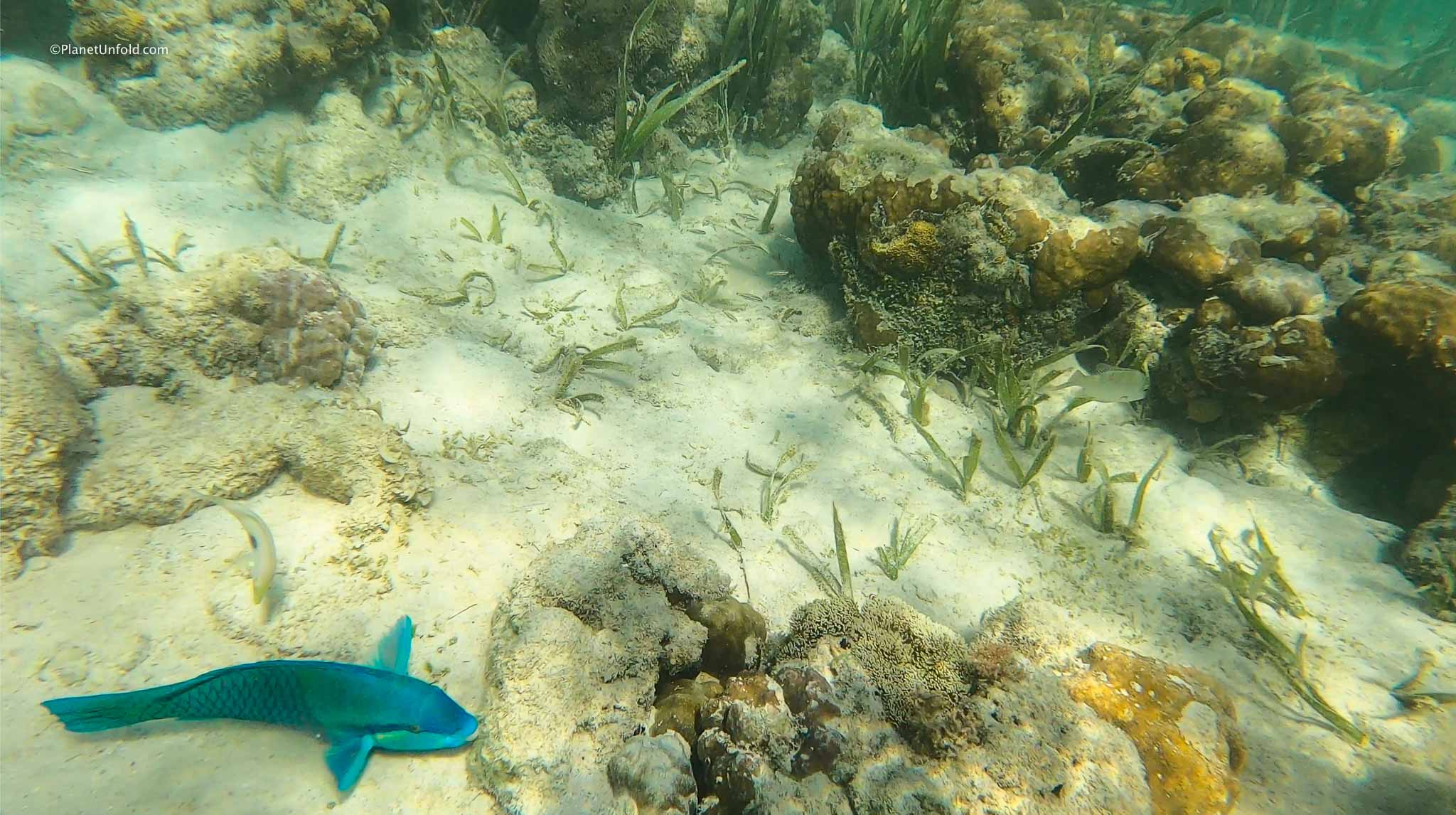 Wreck dive in coron