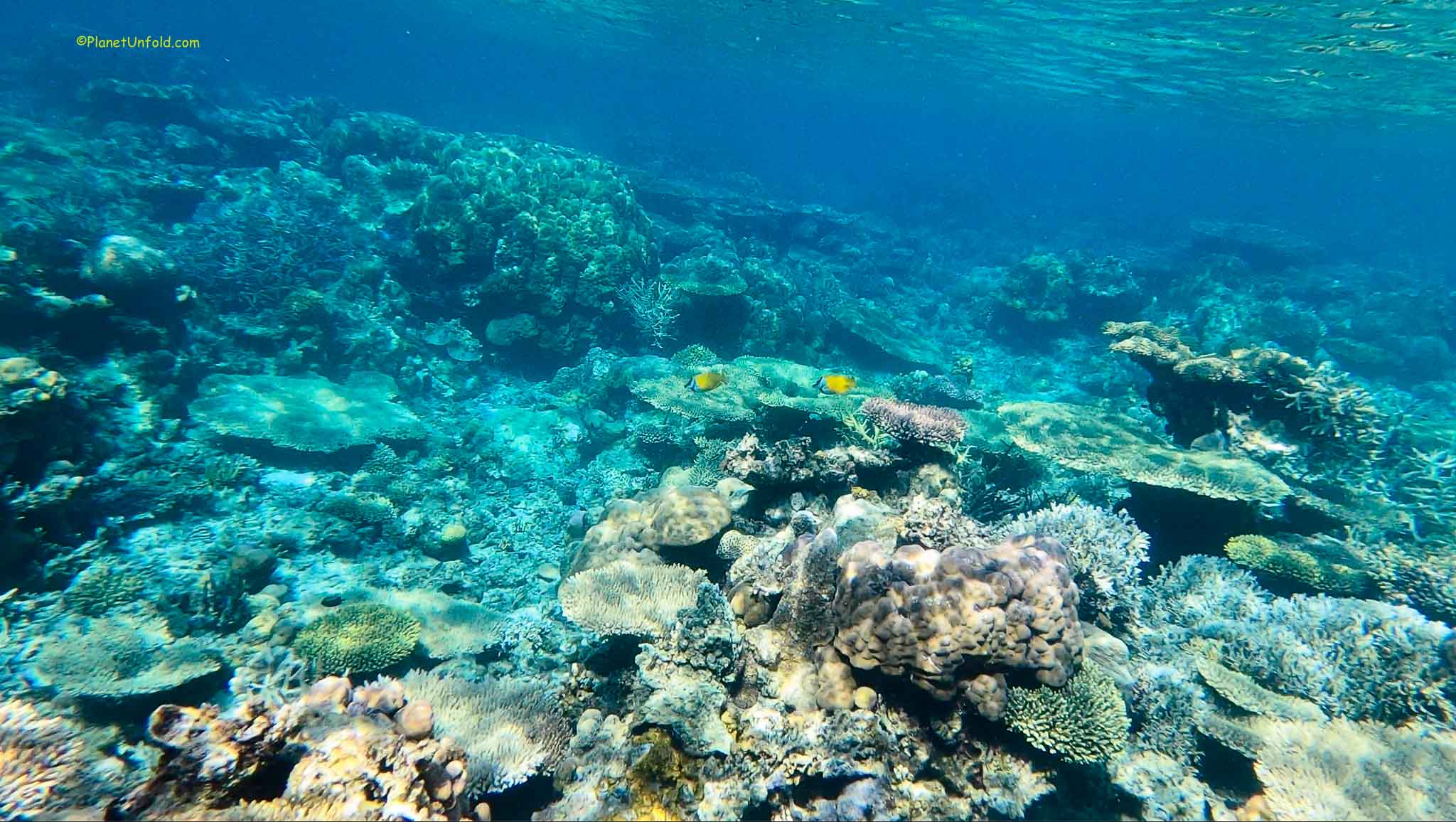 Coron