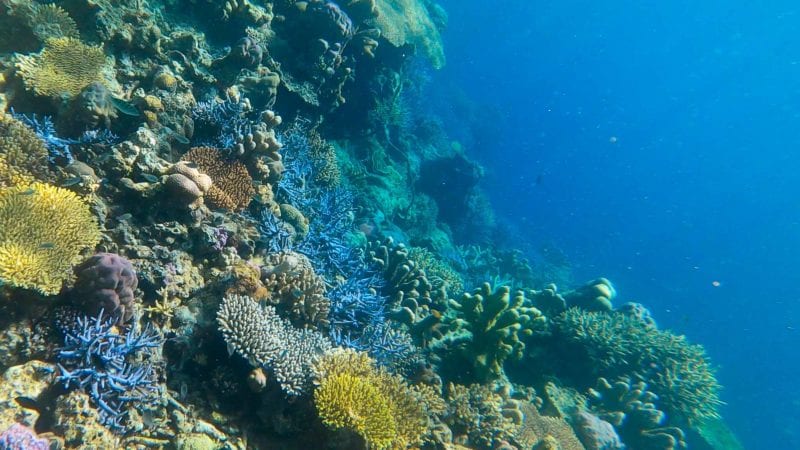 Coron Island