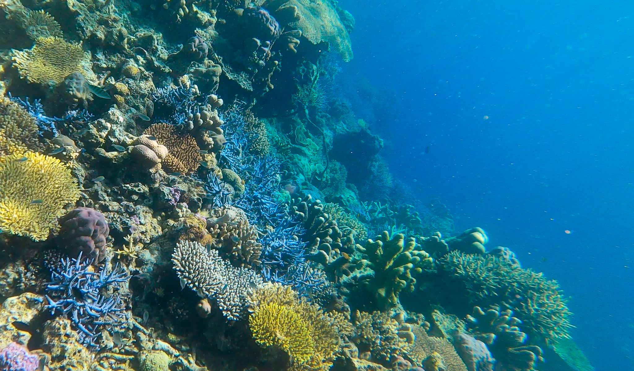 Coron Island
